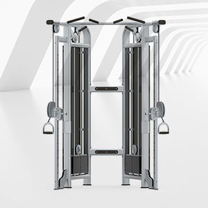 BFT-3025C小飛鳥訓練器小飛鳥健身器材廠家